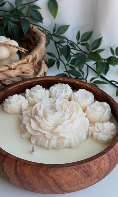 Candel (10 حبات)